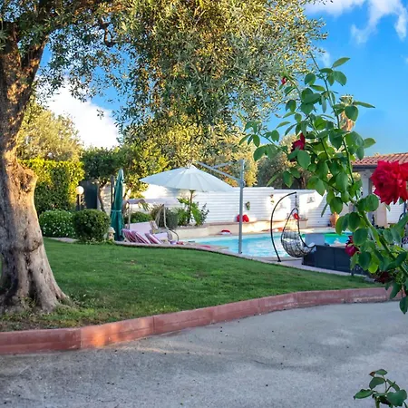 Sunflower Alghero
